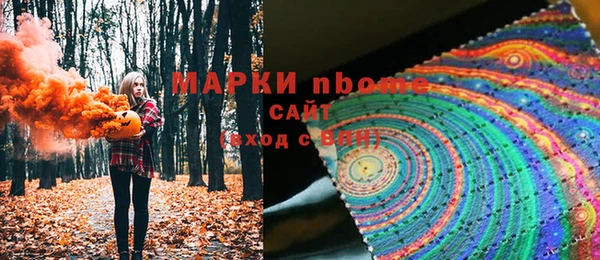 шишки Новокубанск
