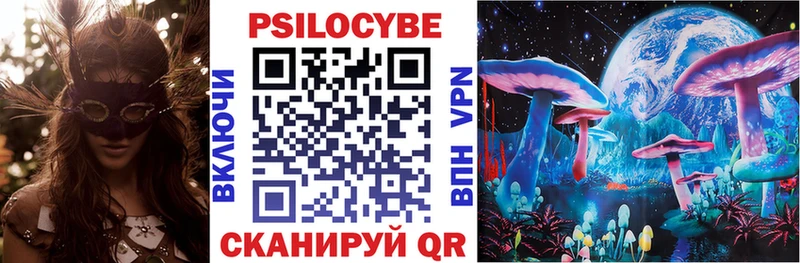 это как зайти  Новый Оскол  Галлюциногенные грибы Psilocybe 
